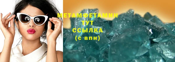 ГАЛЛЮЦИНОГЕННЫЕ ГРИБЫ Вяземский