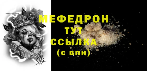 индика Володарск