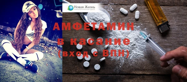 индика Володарск