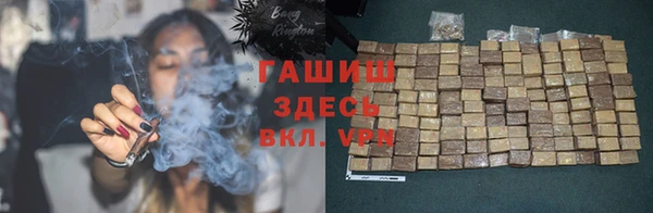 индика Володарск