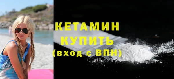 индика Володарск