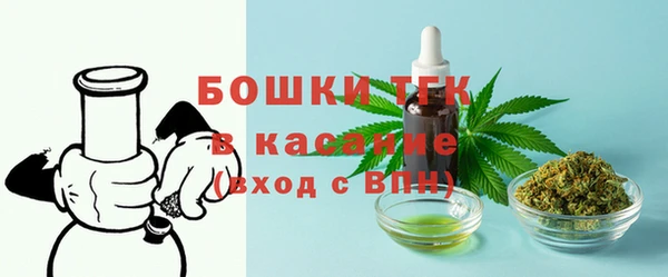 индика Володарск