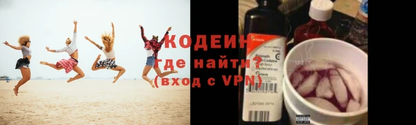 индика Володарск