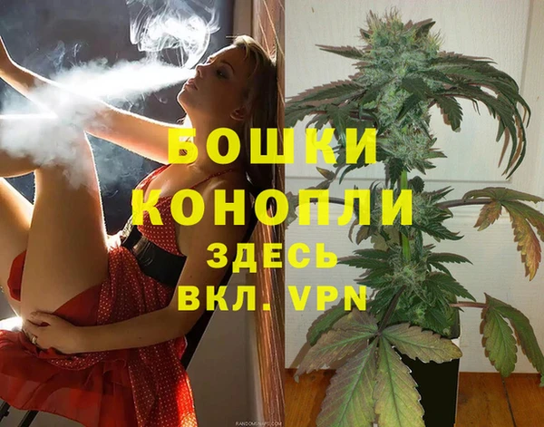 мдпв Волоколамск
