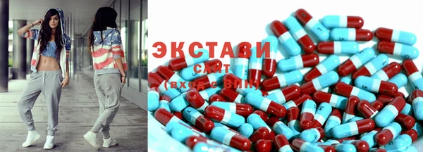 индика Володарск