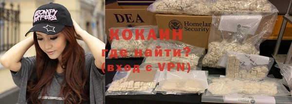 индика Володарск